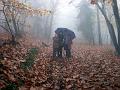 2005-11 WE Cevennes 001